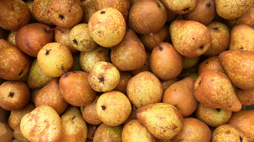 Rocha Pear PDO