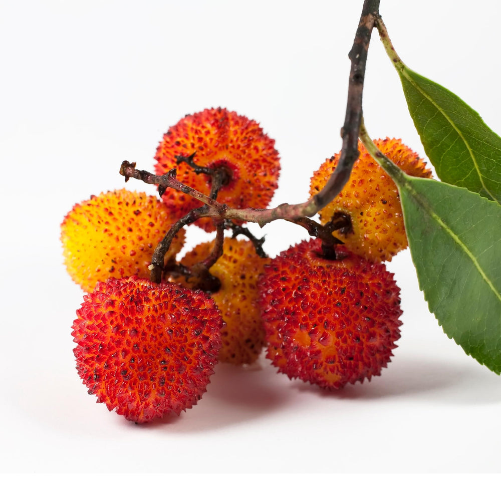 
                  
                    Licor artesanal de medronho meia.dúzia
                  
                